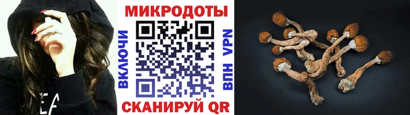 Псилоцибиновые грибы мухоморы  darknet клад  Медногорск  как найти наркотики 