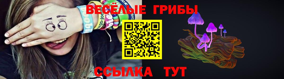 Псилоцибиновые грибы Cubensis  Вход с VPN  Медногорск 